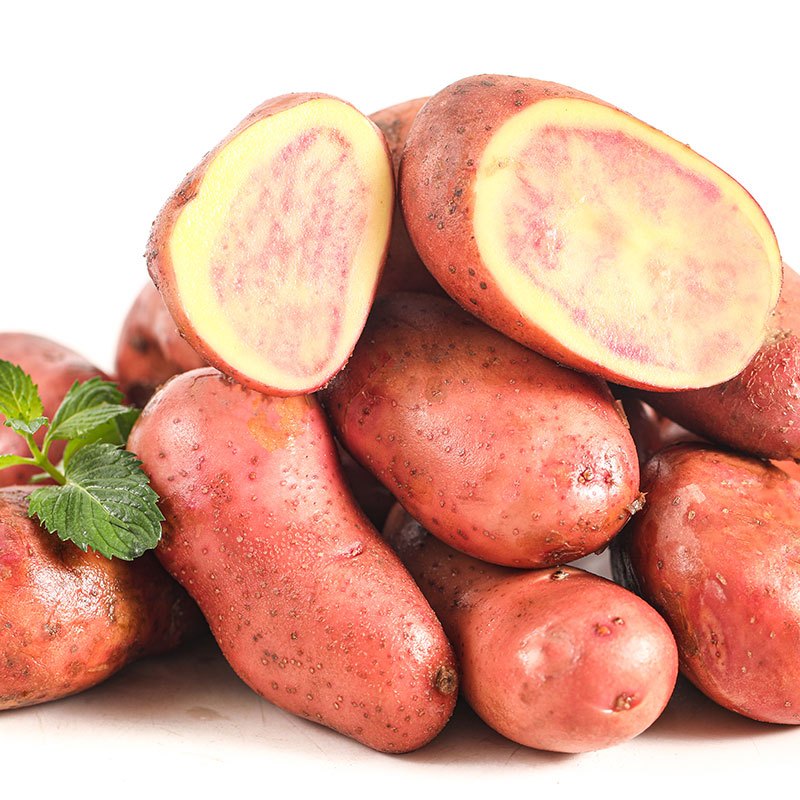 宁夏西吉马铃薯中国马铃薯之乡地理标志红皮土豆5斤