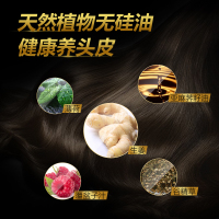 滋源(SEEYOUNG)无硅油洗发水 生姜强根健发洗头水535ml 油性头皮适用