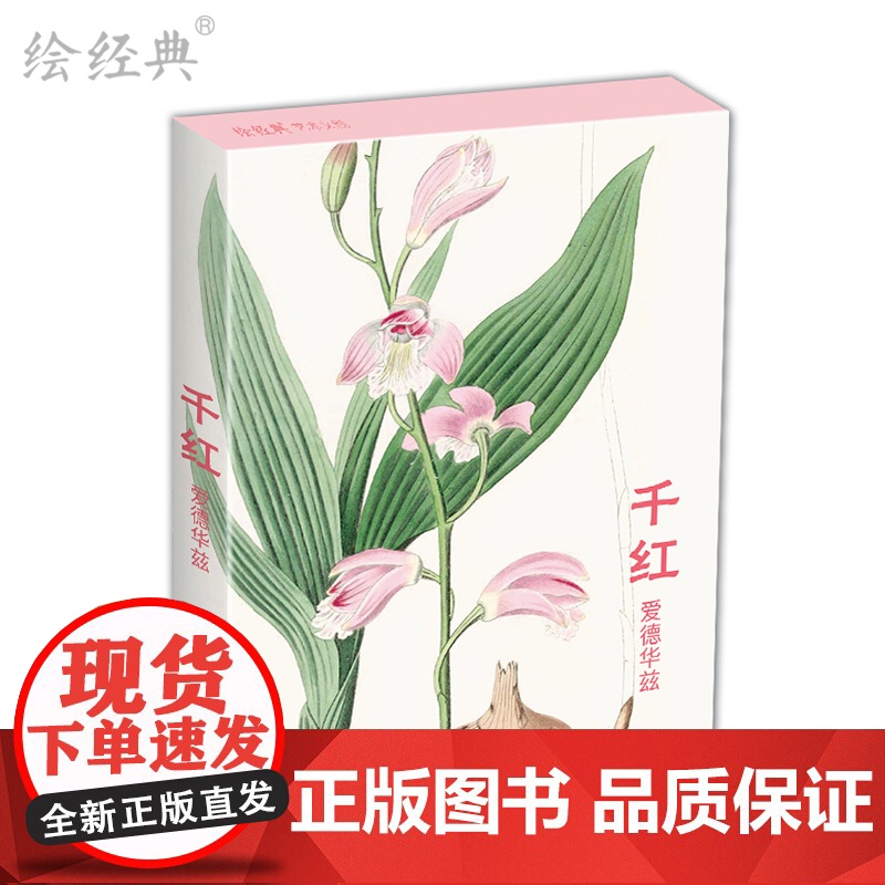 明信片《千红》水彩大师爱德华兹绘 32张名家花卉水彩画册集艺术明信片小卡片手绘插画简约小清新文艺日系复古风生日贺卡创意礼高清大图