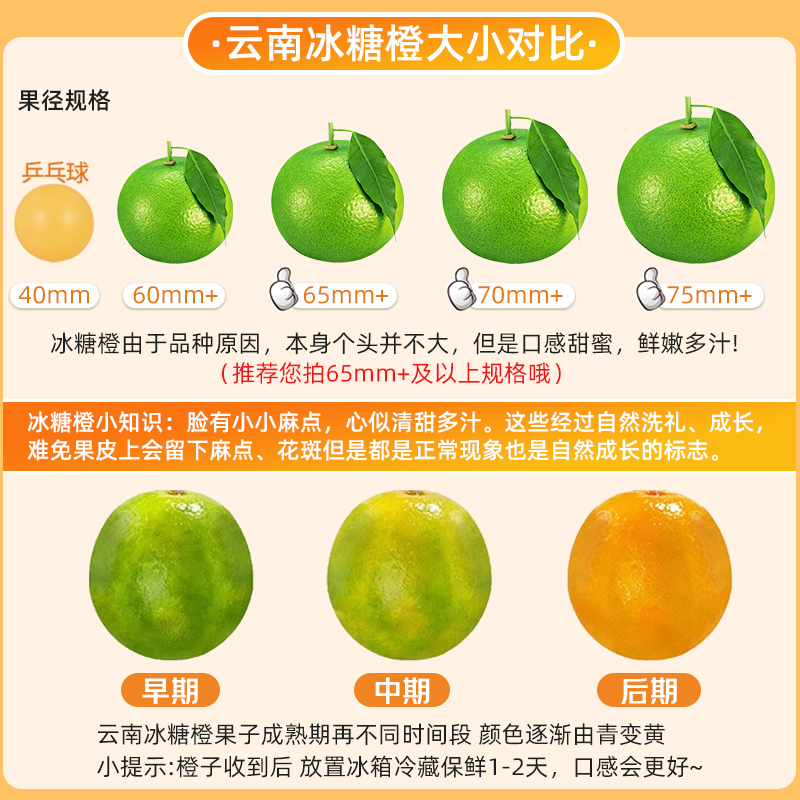 [熊猫鸟]正宗云南冰糖橙 净重3斤 中果 单果65mm左右 哀牢山新鲜应季水果高清大图