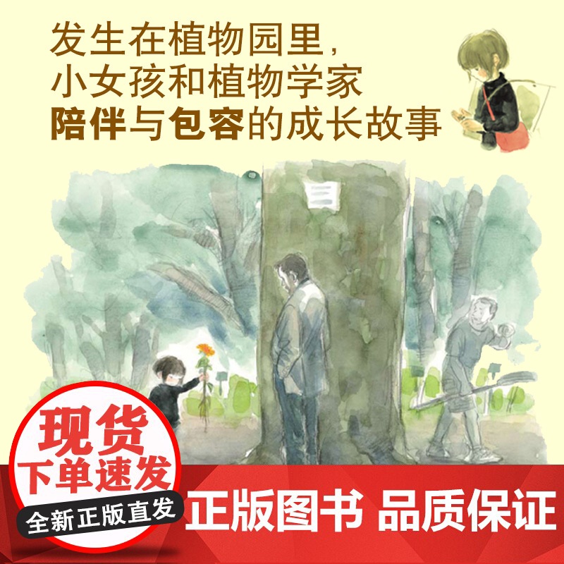 一棵知道很多故事的树 陪伴与包容的成长故事 将《窗边的小豆豆》中的小林校长带回家高清大图