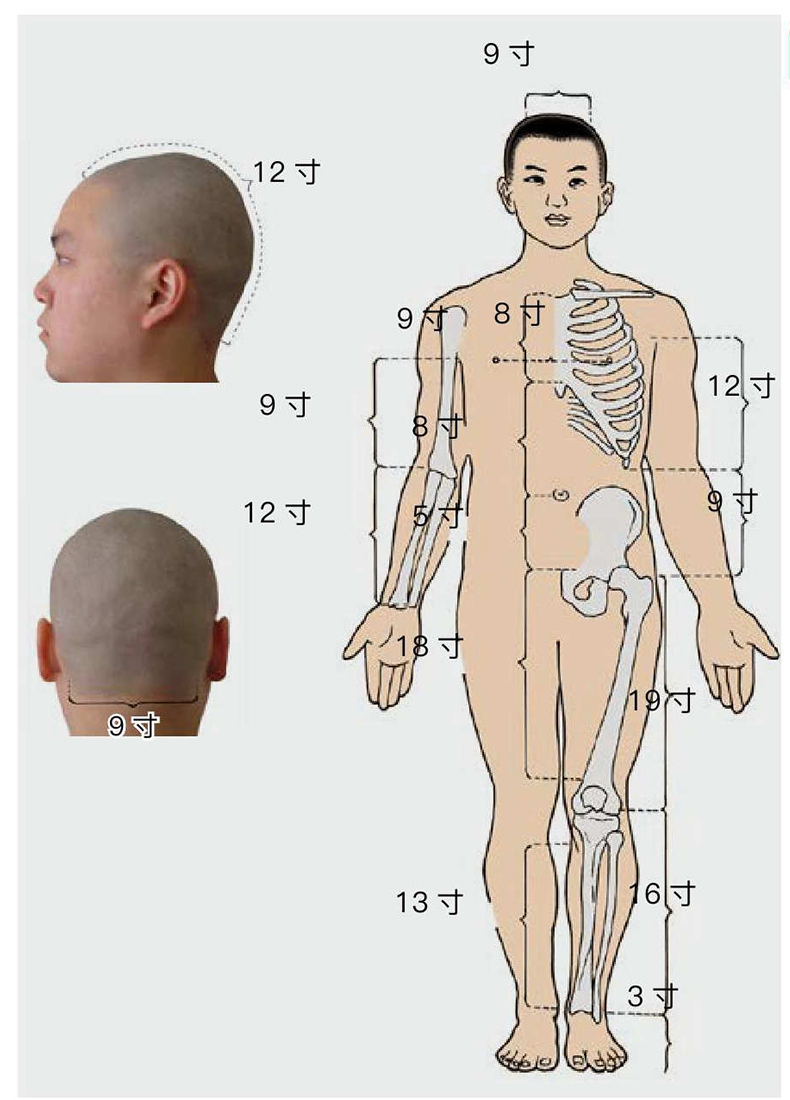 [正版] 全2册 中医速查宝典系列 人体反射区速查+针灸组合穴速查医学卫生中医医学书籍穴位图解头面耳手足穴位图舌诊定穴高清大图