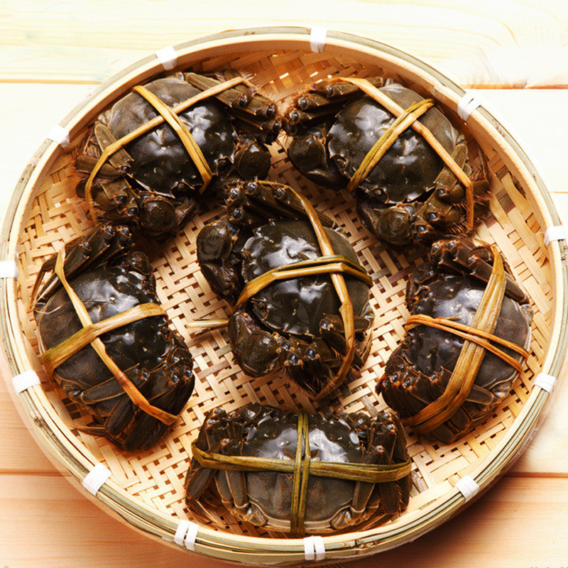 金沐运澄大闸蟹全公蟹45两8只礼盒装螃蟹鲜活