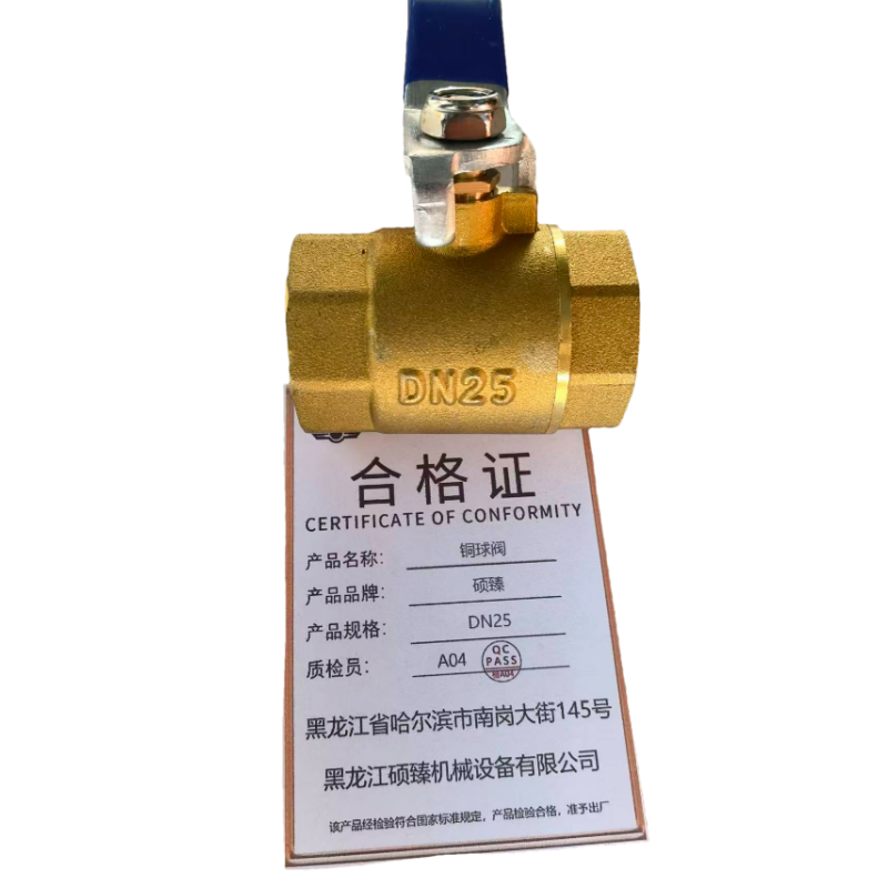 硕臻 铜球阀 DN25 个