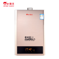 小霸王 DS6010燃气热水器家用10L天然气智能变频恒温特价强排式