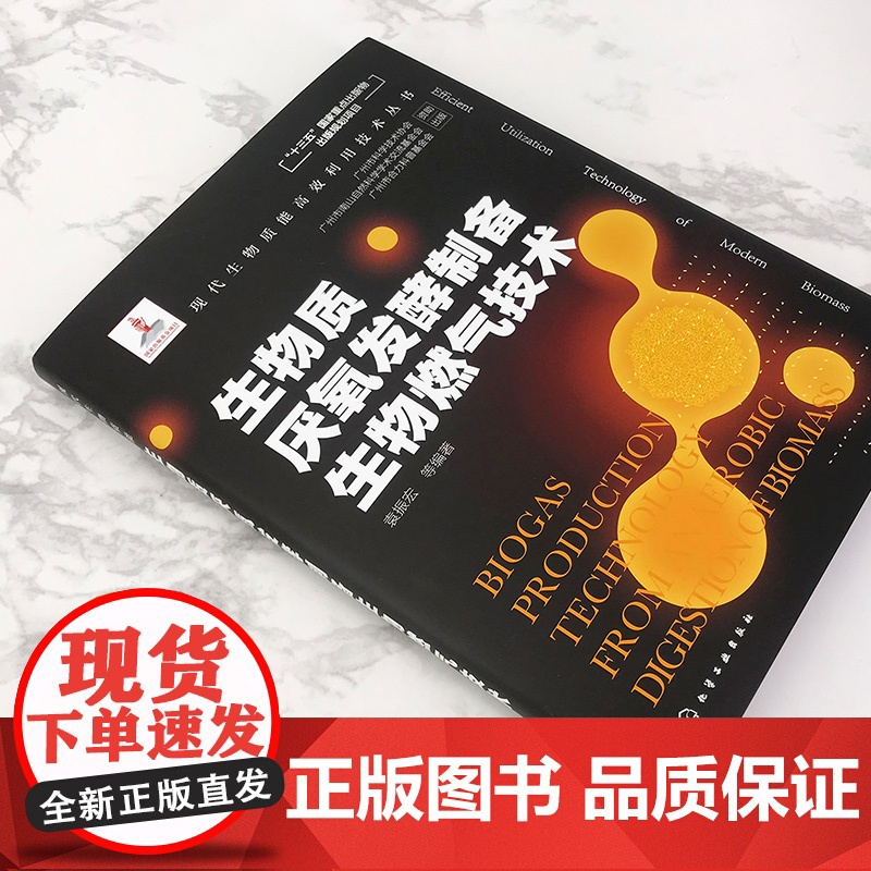 现代生物质能高效利用技术丛书 燃料乙醇生产制备技术 赵海 燃料乙醇生产原理 乙醇发酵的工艺类型 淀粉质糖类纤维素原料乙醇高清大图