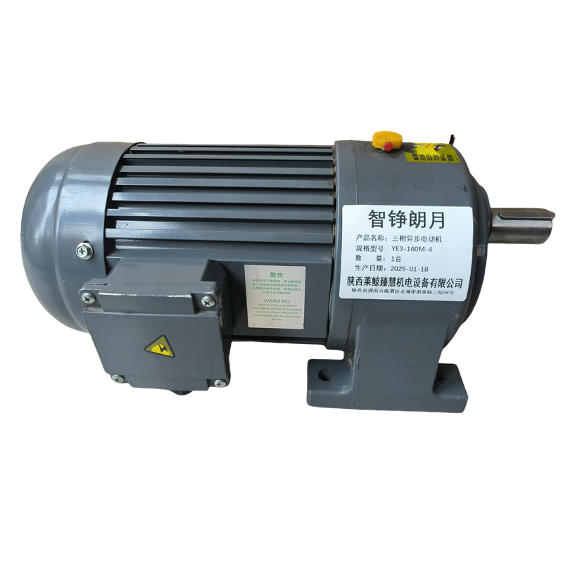 智铮朗月 三相异步电动机 YE3-160M-4 台高清大图