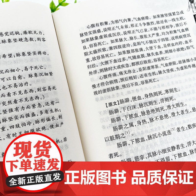 图解黄帝八十一难经难经脉经中医书籍徐文兵著中国中医药出版社 中国中医药出版社 医学卫生 中医 图解黄帝八十一难经 徐文兵高清大图