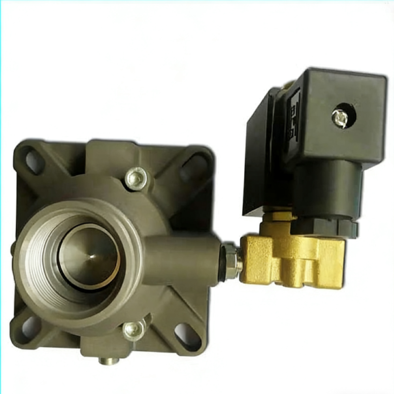 博莱特进气阀总成(含安装) 型号1625165302,单位套高清大图