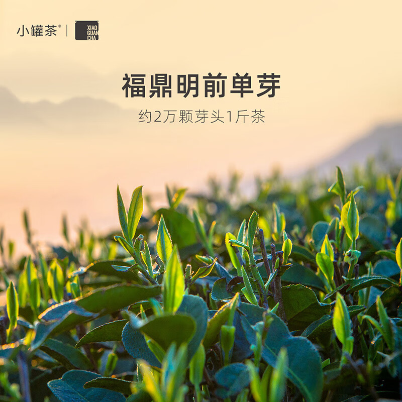 小罐茶 XIAO GUAN TEA金罐20罐白毫银针茶80g(20罐*4g)高清大图