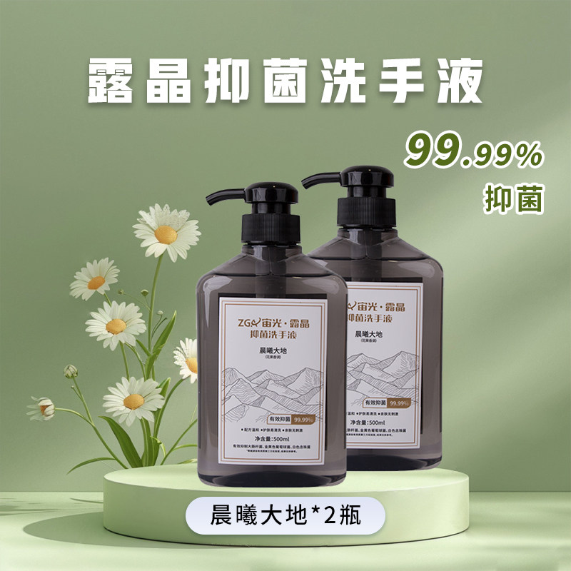 宙光露晶抑菌泡沫洗手液500ml家用便携式高清大图