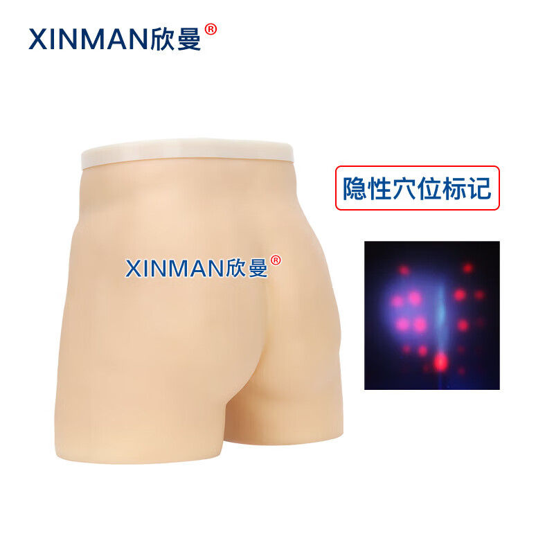 欣曼科教 针灸臀部训练模型 臀部针灸针刺扎针练习模型XM-ZC02高清大图