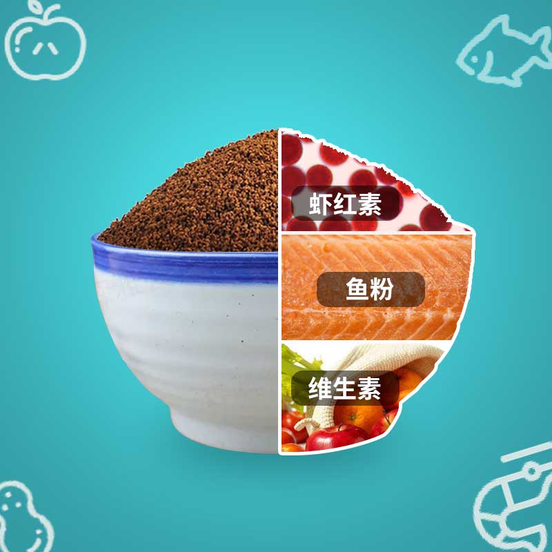 小型热带鱼饲料观赏鱼灯科鱼鱼食小颗粒高清大图