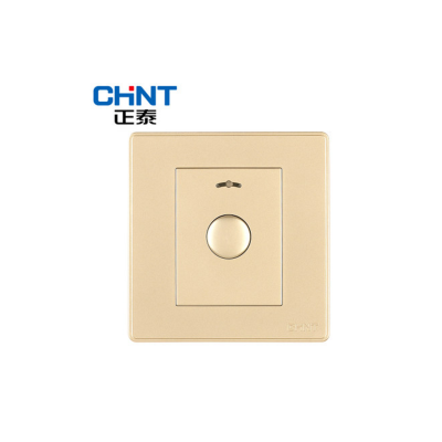 正泰(CHNT) 按键延时开关100W两线制 可控制白炽灯 节能灯 NEW2-C31032 香槟色