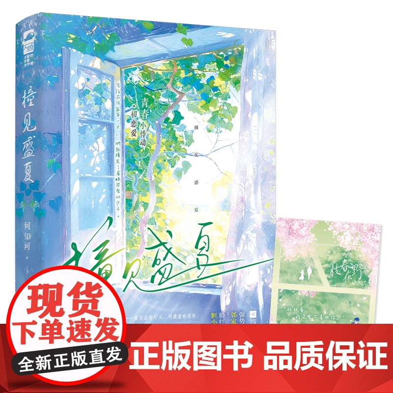 撞见盛夏高清大图