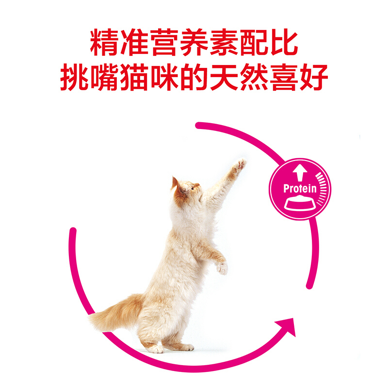 皇家全能优选成猫粮EP42肠道舒适型 猫粮 成猫 猫主食 10KG