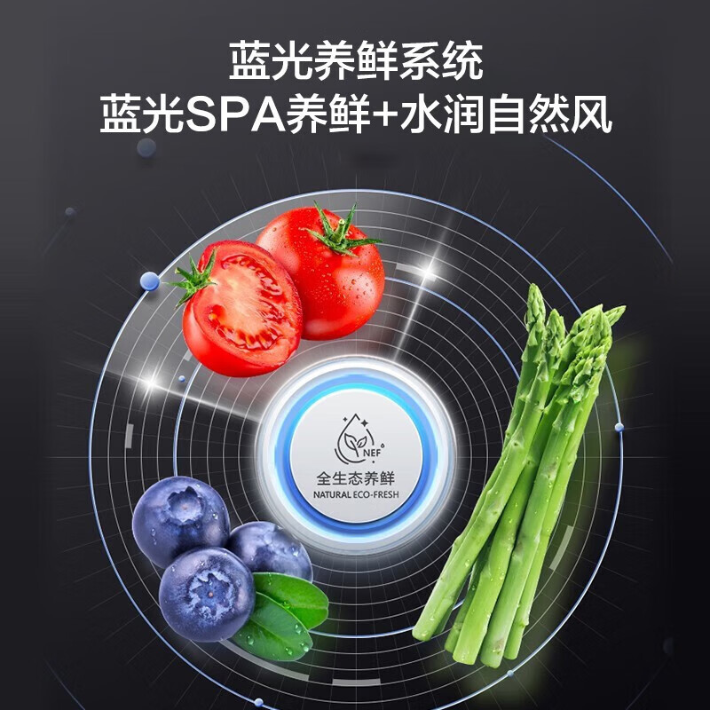 [官方正品]容声冰箱620升十字门四开门超薄嵌入式冰箱一级能效 变频节能大动力BCD-620WD19FP以旧换新