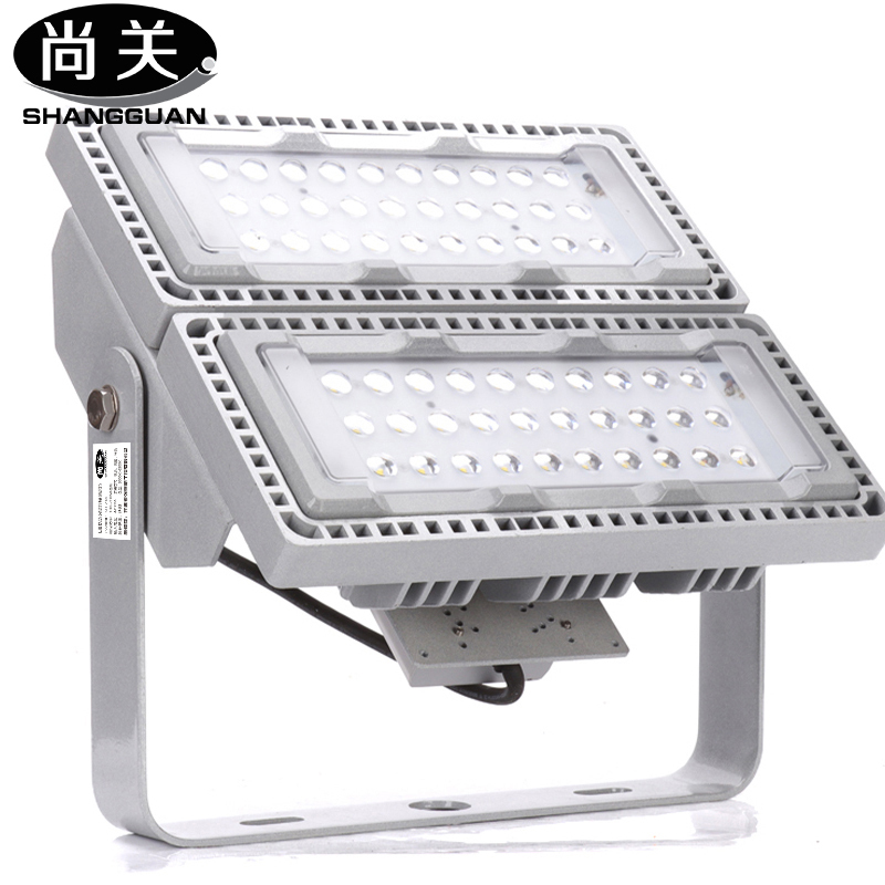 尚关(SHANGGUAN)( 投光灯)SQ-Z18 AC220V LED 100W泛光灯