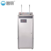 碧丽(Bili)商用饮水机W-2CX温水开水机学校办公即饮饮水机