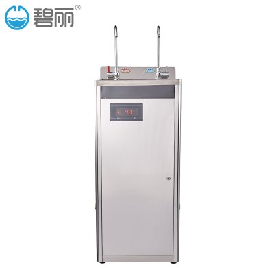 碧丽(Bili)商用饮水机W-2CX温水开水机学校办公即饮饮水机