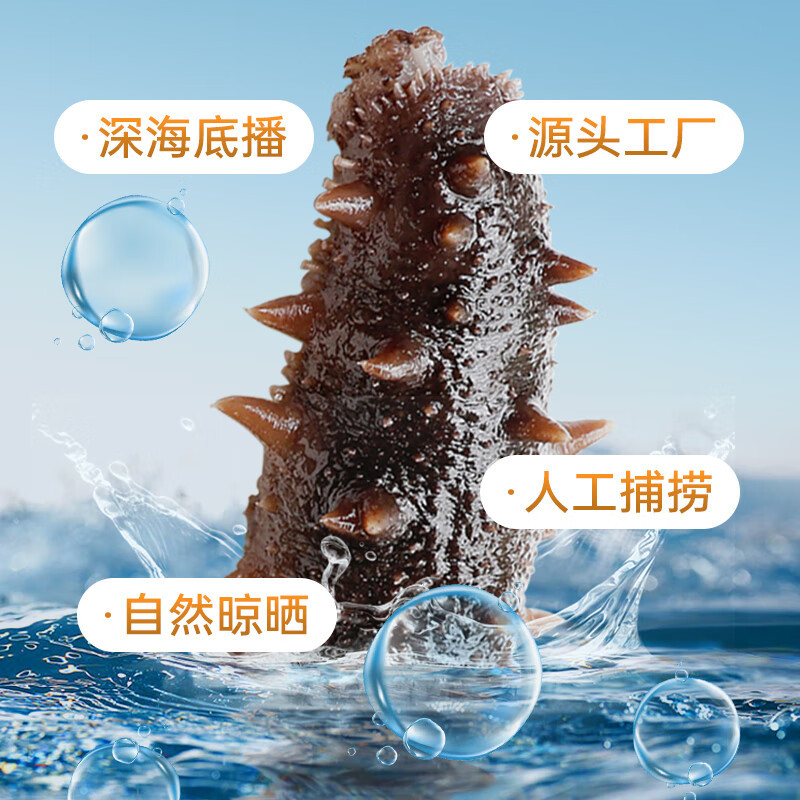 雷允上 淡干海参50g约20-24只