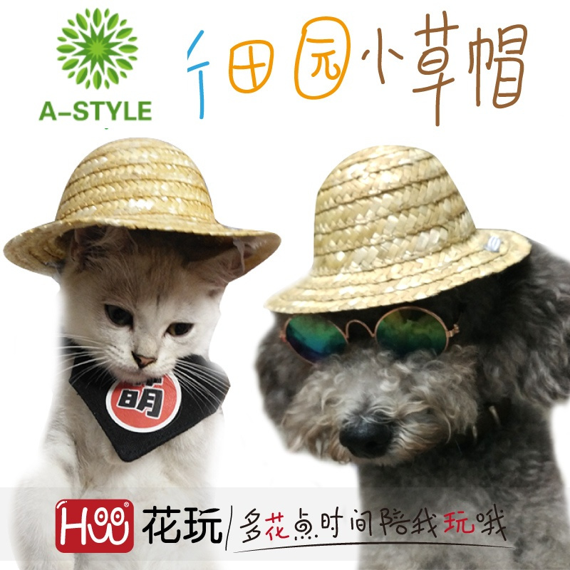 A Style 猫咪小狗狗宠物帽子变装帽夏天幼犬泰迪头套寵物墨镜耳套头饰 价格图片品牌报价 苏宁易购昌源商贸宠物专营店