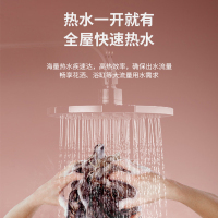 长虹(CHANGHONG)家用燃气壁挂炉天然气采暖炉地暖暖气片锅炉采暖洗浴两用恒温热水器 智能家电 L1PB24-U1