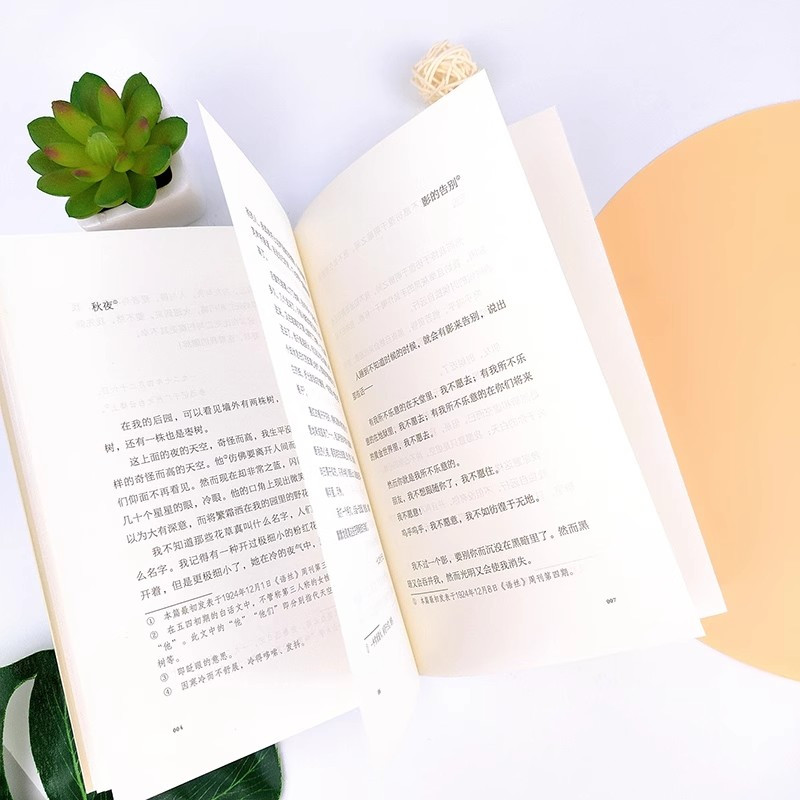 [全20册]鲁迅精选文集+老舍作品精选 [正版]野草 鲁迅着 散文杂文经典精选作品集 小学初中生四五六七八九年级课外书