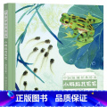 小蝌蚪找妈妈 精装 【正版】小蝌蚪找妈妈硬壳精装绘本图画书杨永青版中国名家经典绘本经典儿童故事图画书湖南少年儿童出绘南壳