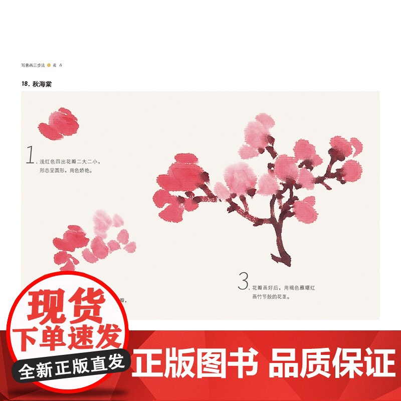 新版 写意画三步法蔬果花卉草虫 颜康文编绘书画入门系列水墨国画中国绘画上海人民美术出版社高清大图