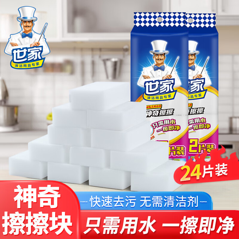 世家(MR.SIGA) 21923 8*5*2.5cm/24片@ 百洁布 (计价单位:袋)