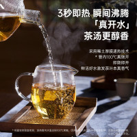 蓝宝(BLAUPUNKT) BP-WD02 台式净饮机 即热饮水机家用即热式净饮一体机