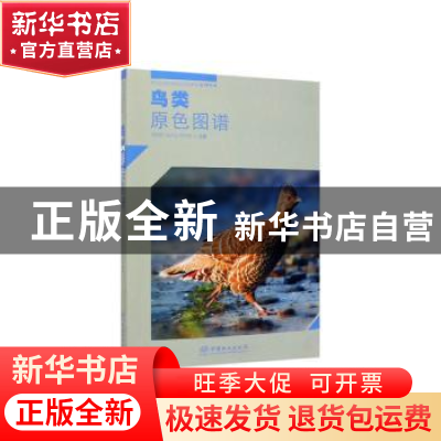 正版 鸟类原色图谱 周材权,杨志松,何晓安 编 中国林业出版社 9