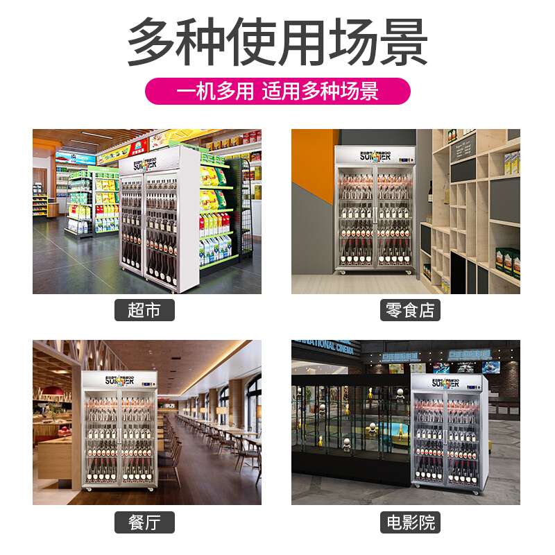 乐创(lecon)饮料柜展示柜冷藏柜立式冰柜商用冰箱饮品啤酒蔬菜水果保鲜冷柜鲜花柜陈列柜双门上机魅力橙直冷800L