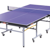 红双喜(DHS)乒乓球台可折叠室内家用有轮子滚轮球桌T2023重量115KG(附网架 兵拍 乒球)