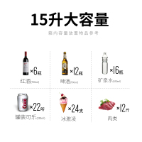 先科(SAST)15L车载冰箱 车家两用宿舍办公室迷你冰箱压缩机冷冻可结冰胰岛素冷藏盒户外旅行冰箱FY-15 纯车用
