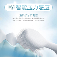 松下(Panasonic)电动牙刷成人通用声波震动情侣系列多种模式组合软毛充电式 EW-DC12