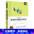 单册 【正版】爱丽丝漫游记课外阅读书少年儿童成长文学读物原版文艺书籍小学生课外书阅读书目二三四五六年级物外