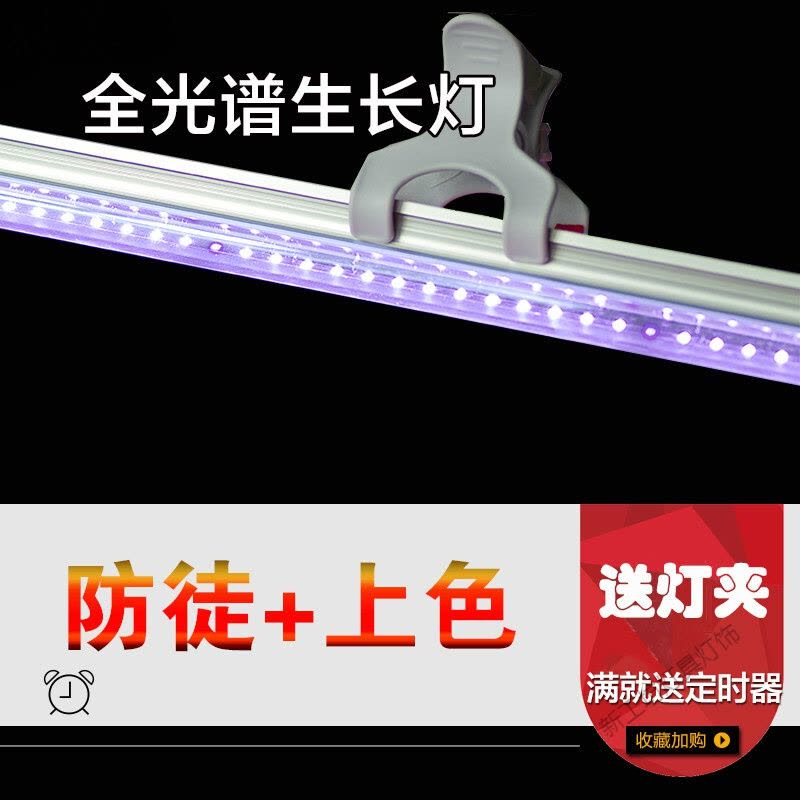 苏宁放心购 全光谱植物生长灯 多肉植物补光灯室内植物补光灯食虫草led花卉补光图片