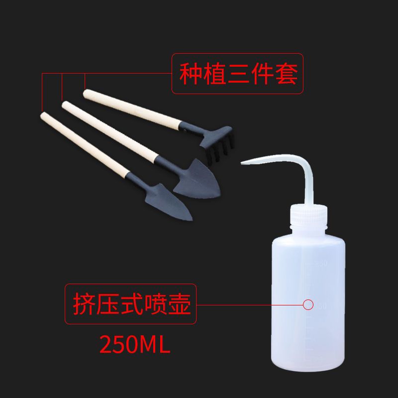 三件种植工具+喷壶 盆栽小铲子种花养花园艺工具种植多肉工具套装迷你三件套