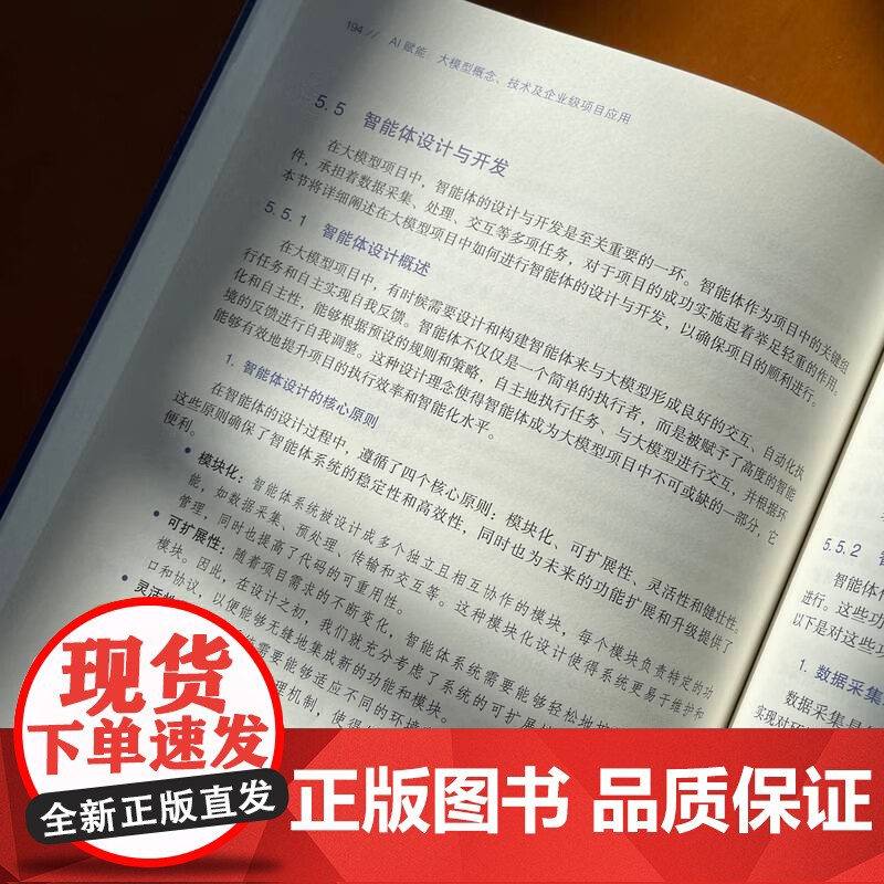 AI赋能 大模型概念 技术及企业级项目应用 deepseek教程 张建伟 著 计算机与互联网高清大图