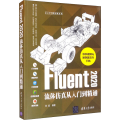 Fluent2020流体 从入门到精通/CAX工程应用丛书