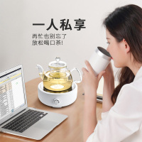 新功Q25小型电陶炉煮茶器家用电茶炉台式泡茶炉迷你电磁炉烧水壶