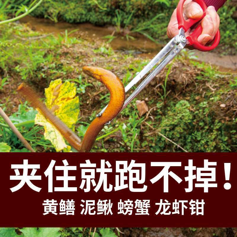 不锈钢直口款28CM(满5赠1) 不锈钢黄鳝夹抓泥鳅钳子防滑防蛇赶海工具神器鳝鱼钳加长垃圾夹子