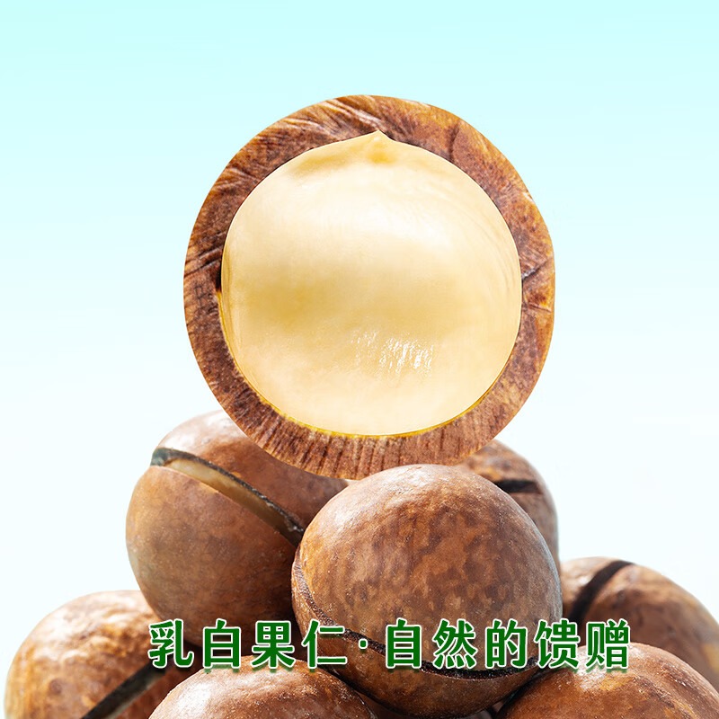 鲜记 有机夏威夷果 500g/罐高清大图