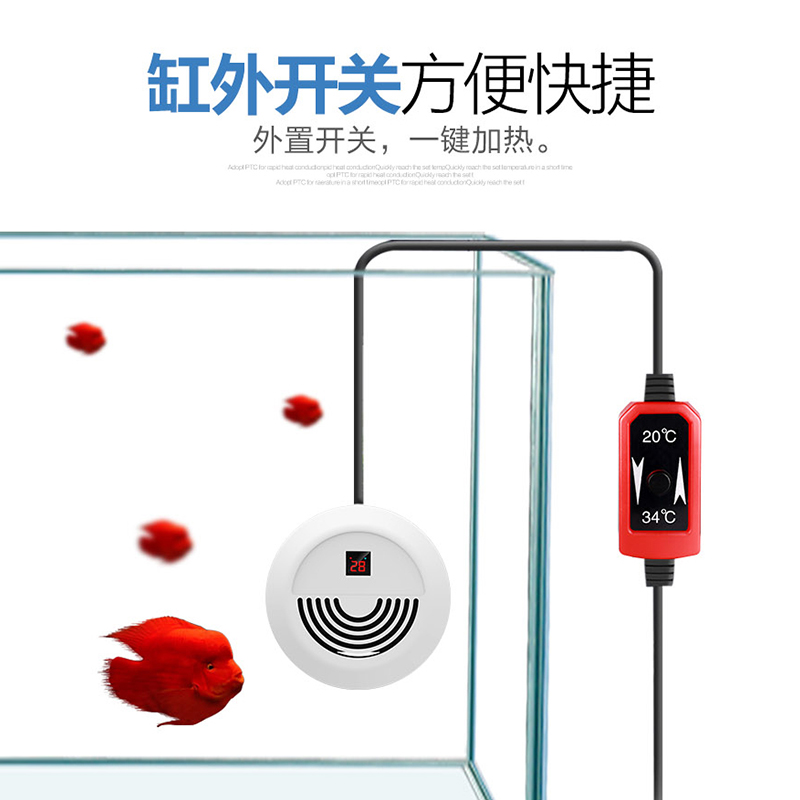 PTC加热棒自动恒温小型迷你超短防爆加温器加热器乌龟加热棒高清大图
