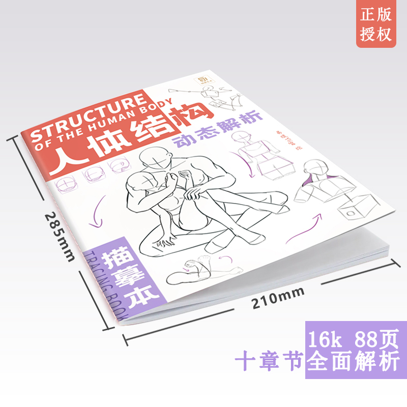 [正版图书]人体结构动态解析描摹本 易缇 速写人体临摹画册 动漫人物动态素材 漫画手绘本线稿草图本二次创作 速写描摹本