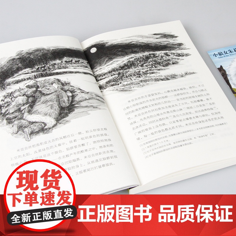 正版 小狼女朱莉 长青藤国际大奖小说书系 外国儿童文学三四五六年级小学生课外阅读书籍青少年版8-10-12周岁寒暑假拓展高清大图