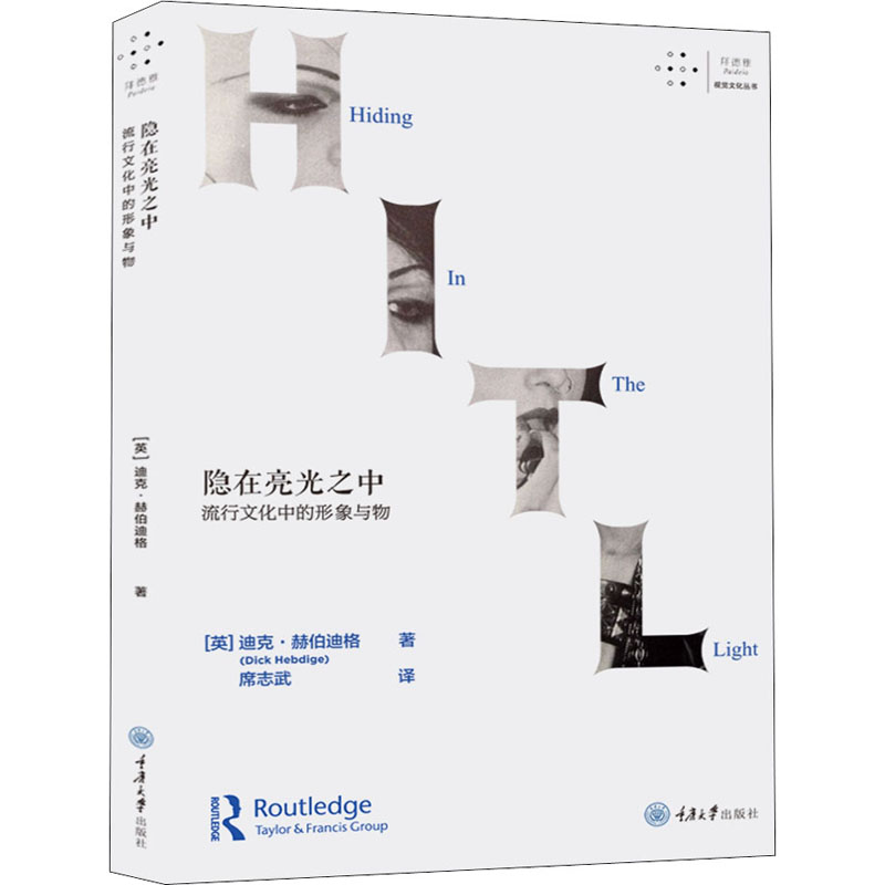 [醉染正版]隐在亮光之中 流行文化中的形象与物 (英)迪克·赫伯迪格 著 席志武 译 文化理论高清大图