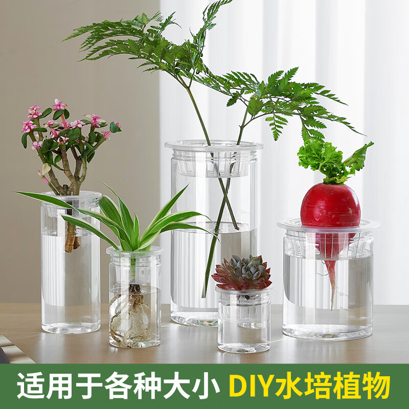 水培植物蔬菜器皿定植篮高清大图